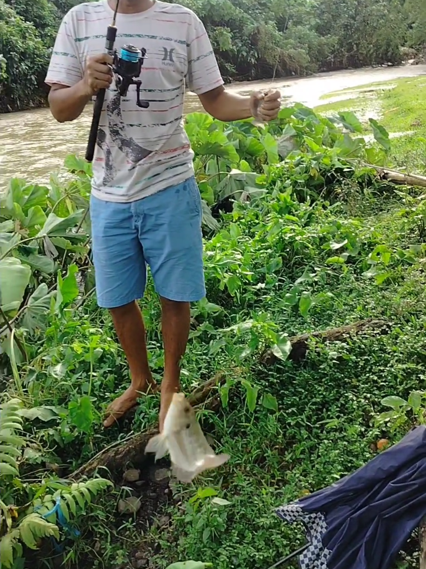 Mancing di Sungai Siap Banjir #fyppppppppppppppppppppppp #fishing #mancing #mancingmania #ikannila 
