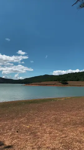 Nhớ Đalat qaaa🌲 #xuhuong #dalat #fyp 