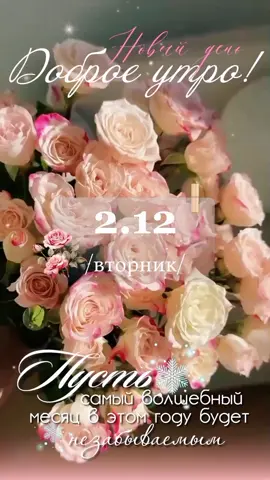 #новыйдень #декабрь2025❄️ #новыймесяц❄️❄️❄️ 