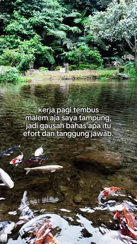 #CapCut #candimuncar 