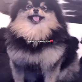 မနက်ဖြန်ဆိုတန်လေးကြယ်တွေဆီအလည်သွားတာ တစ်နှစ်ပြည့်ခဲ့ပြီပေါ့💔#yeontan #taehyung #missyou #tiktok 