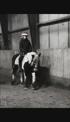 I am just a dream..🥹🔫#CapCut #horses #cobss 