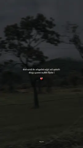 ❤️‍🩹#fyppppppppppppppppppppppp #viralvideo #_wagxha_ #foryoupage #trendingvideo 