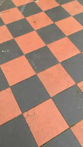 #miom3sulawesi🏁 #miom3modifikasi #fyp 