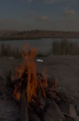 🖤’#chavoshi #foryoupage #mohsenchavoshi #likes #foryouu 