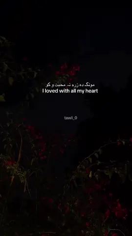 #foruyou#pashtopoetry#pakhtoshayeri#viral#pashtoshayari