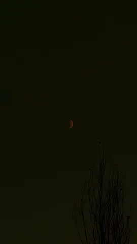 سب کچھ بدل جائے گا مگر یادیں وہی رہیں گی جو دل میں بسی ہیں 🍂#foryoupage #viralvideo #asthetic #foryou #zyn6t9 @luci @Hasnain Butt 