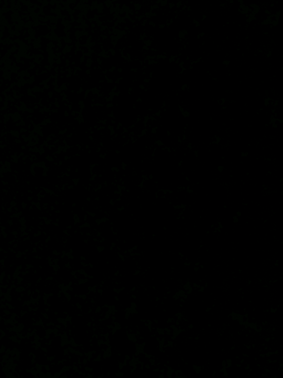 جزء 65 ||كمل المقطع للاخير وانطيني رأيك؟  .  .  .  .  .  #باسم_الكربلائي #لطميات #ام_البنين #باسميات #باسم_الكربلائي_رادود_ما_له_مثيل 