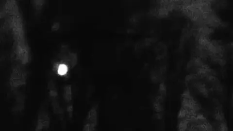 تِكتل !  . #حسين_الغزال #اغاني #اغنية #fyp #fyppppppppppppppppppppppp 