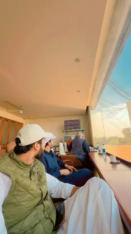 @Mujtaba Chaudhary #horse #polo #lahore 