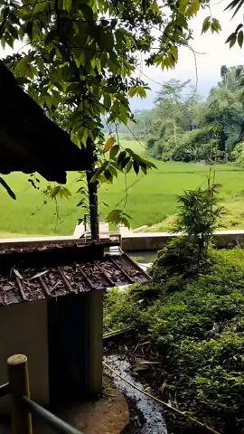 #panjalu #ciamis @didi.mulyadi135 