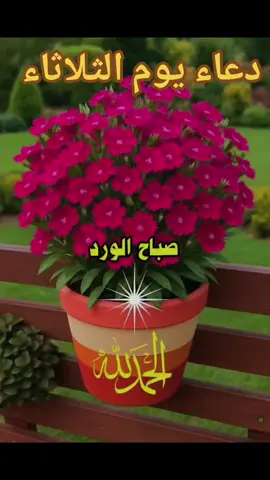 دعاء يوم الثلاثاء #tiktok #fypシ゚ #دعاءيوم_الثلاثاء 