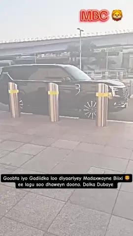 #somalilandtiktok💚🤍❤ #Funny #creatorsearchinsigh 