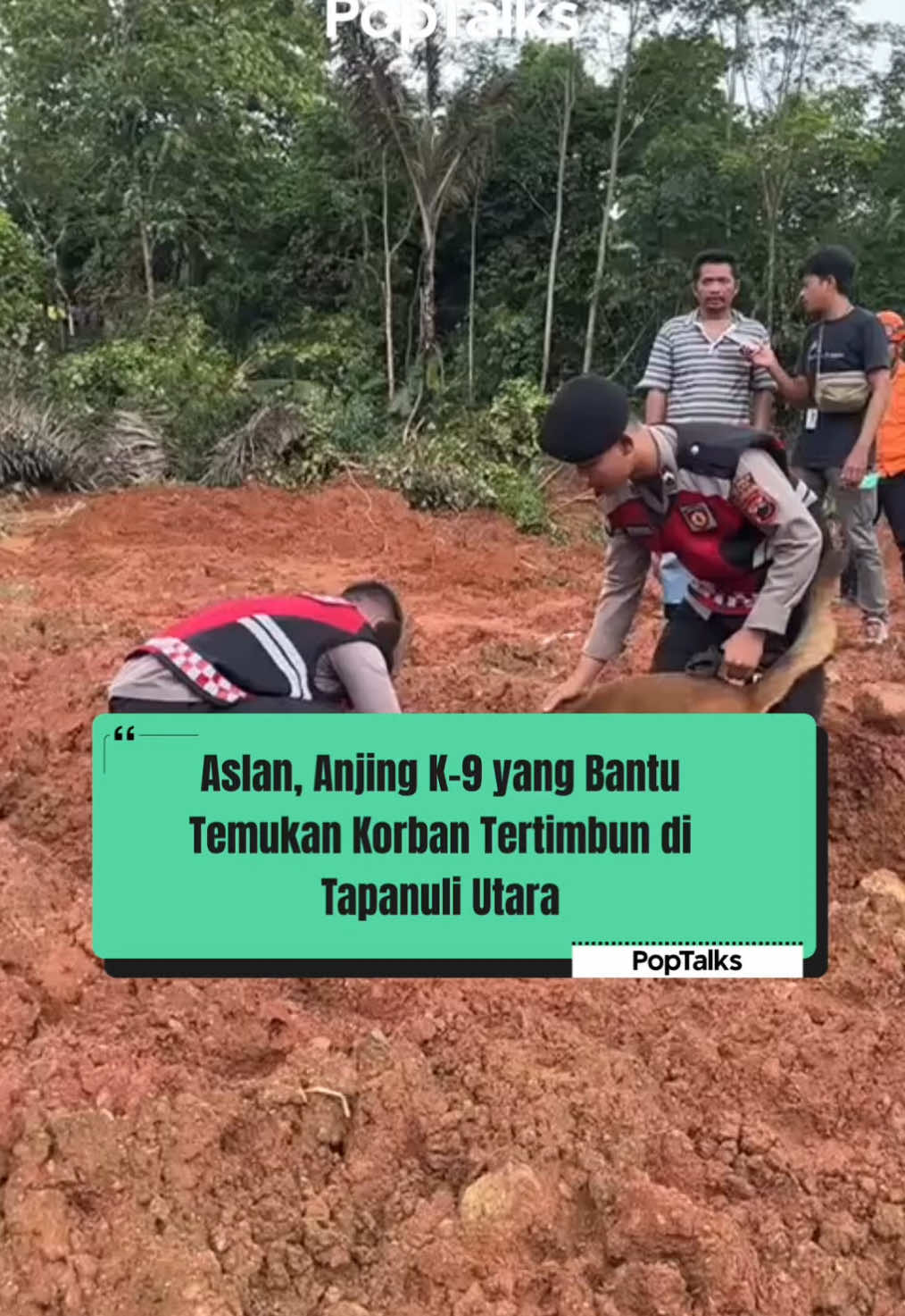 Aslan, anjing pelacak K-9 milik Polda Sumut, bersama tim Polsatwa K-9 dan Polres Tapanuli Utara berhasil menemukan dua jenazah korban bencana yang sebelumnya tidak terdeteksi. Misi ini dilakukan di tengah lumpur dan puing, menunjukkan dedikasi besar tim dari pawang hingga petugas pengamanan yang bekerja tanpa henti demi kemanusiaan. Upaya mereka memberi kepastian bagi keluarga korban dan memastikan tak satu pun warga dibiarkan tanpa kabar Source: 🎥 Instagram - baharkam_polri #poptalks 
