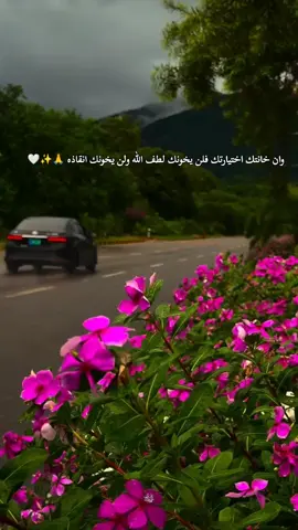 #عبارات_حزينه💔 #اللهم_سترك_ورحمتك_وعفوك_ورضاك_ومغفرتك #لايك_متابعه_اكسبلور_تعليق_مشاركةi💚💙 #حتى_استمر_وياكم_بالنشر🥰💚🤍 #اللهم_صل_على_محمد_وآل_محمد 