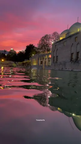 #şanlıurfatiktokkeşfet #şanlıurfabalıklıgöl #balikligölsanliurfa🥰 #şanlıurfa #balikligöl 