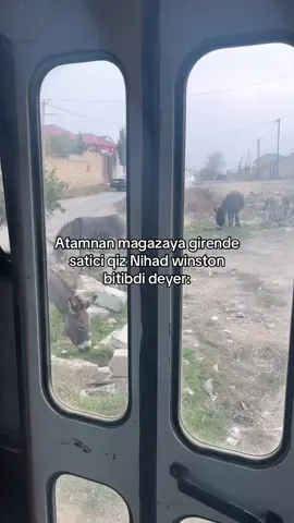 Esseyler saraydadi 😂 #kesfetteyiz #viral