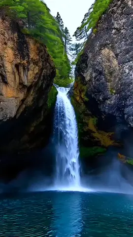 #_#_قران_كريم _#quran '. سعود الشريم _#fyp 