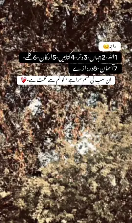 جان سے زیادہ محبت ہے راجے کو تم سے-🫶.               راجہ🫶رانی❤️‍🔥🫴#jan #fypシ゚ #viral #dontunderreviewmyvideo #forupage 