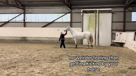 repost? soo yesterday i got kicked by my Horse, and broke my rib.. and don’t come at me that i wasn’t wearing a helmet i have learned a lesson😅  brakk ribbebeinet mitt guys😭🙏 anbefale alle å ha hjelm når di e lause på banen, d va bare nogen millimeter unna hodet mitt😬 får å sei d sånt eg har lært lekså mi🥹 Å TUSEN TAKK får alle di fine meldingene❤️ - #harmonia💘 #kickedbyahorse #equestrian #brokenribs #horsesontiktok 