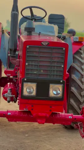 #پینڈاآلے🌾🌿🍁 #جٹ_زمیدار #pleasetiktokteamviralvideo💯 #foryoupageofficiall❤️❤️tiktok #pleasetiktokteamviralvideo💯 