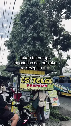 #fyp #estelerprapatan 