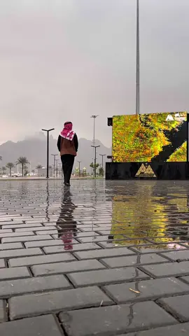 صوتية حايل هالسنة من فارس عوض 😍❤️ #تصويري #اكسبلور #حايل #فارس_عوض #capcut 