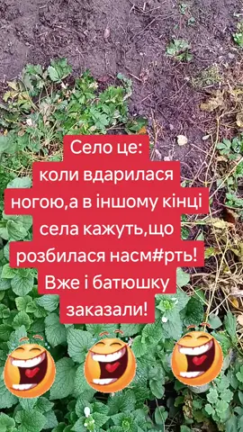 #анекдоты #приколы #юмор 