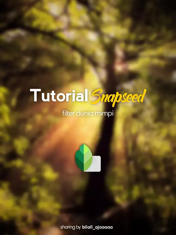 Snap Seed Effect 🌄🌄 #snapseedediting #foto #fyp #fyppppppppppppppppppppppp #fypシ゚ #followformore