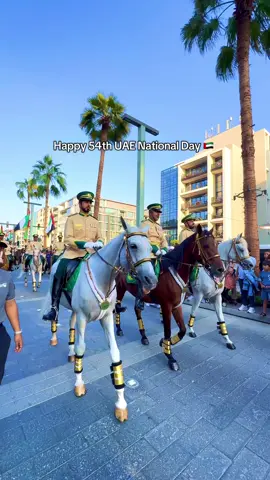 Dubai 🇦🇪 Happy UAE 54th National Day  #fyp #dubai #viral #trending #foryou 