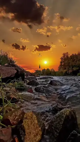 #المرأة #القطيف_الشععب_اللطيف #الله_اكبر_الله_اكبر_ولله_الحمد 