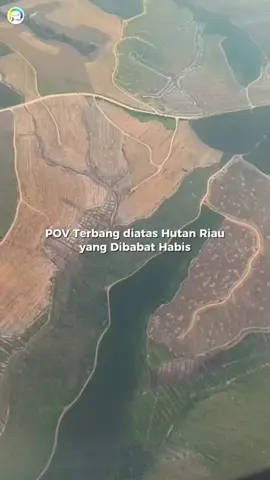 Kemanakah lagi... kita (manusia) 'kan SEMBUNYI ??  Tuhan/Allah SWT maha melihat amal dan dosa kita..  Du.. Du.. Du.. Du.. Du.. 🎼🎼 #kimikoobrands #lindungiTessoNilo #tamannasionalriau #lindungisatwasatwaliar #ayosemuarakyatbersuara 