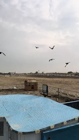 صح اكو فرق بين العدال والمشاغل💖 . #تصميمي #شباب_صعدو_لايكات_فدوة #محافضات #حمام_لوت✌_الهوايه #حمام_لوت_قلابي_حمام_بصراوي 