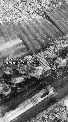 masi suka? #katakata #fotolive #lewatberandafyp #foryoupage #ayambakar 