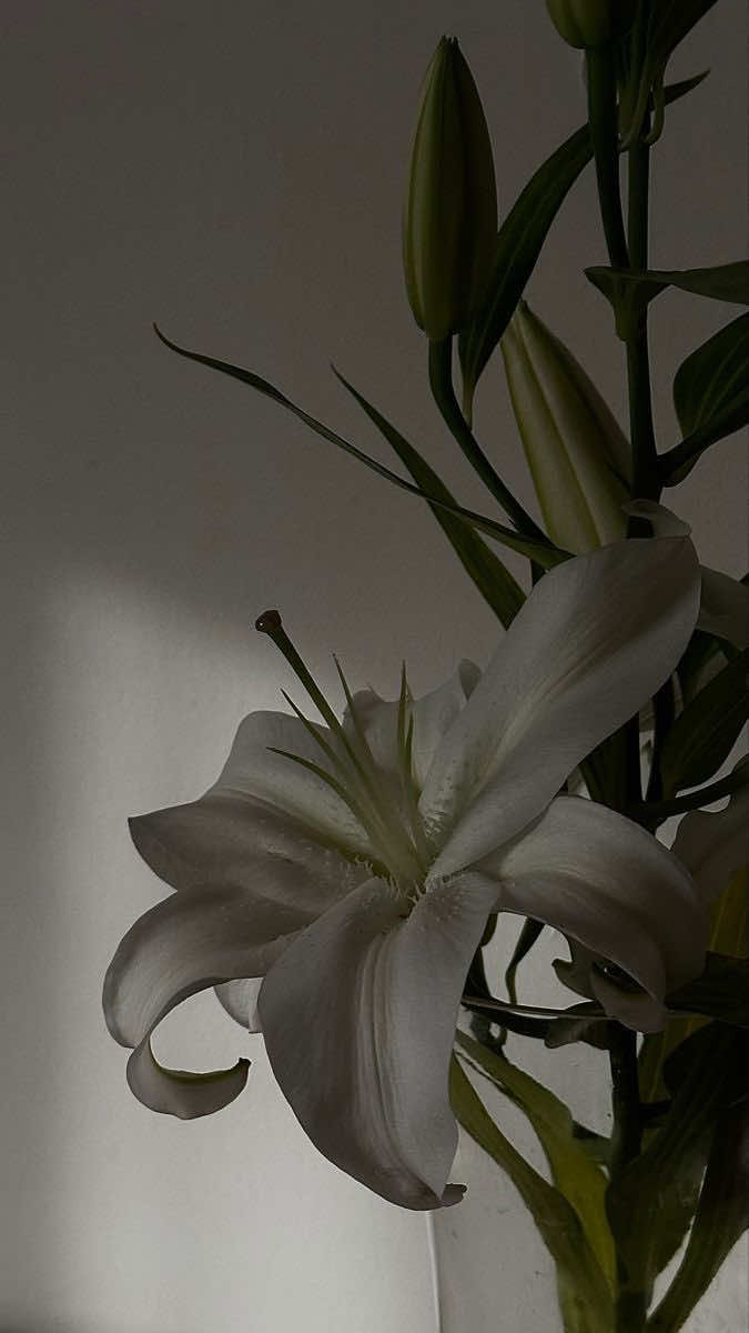 Ramy gamal || أوعديني  #cover 