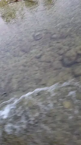 كلام جميل يدخل القلب من غير استأذن  #ابوجوري_المنتشري  #بيرق_العرضيات 