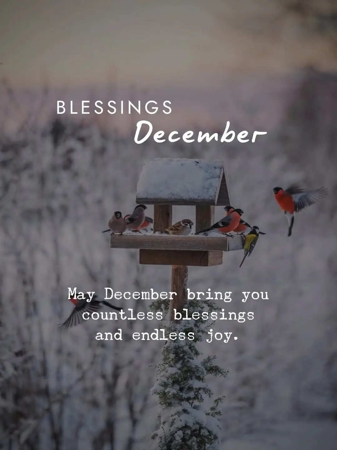 #fyppppppppppppppppppppppp #p #fy #deephouselovers #trendingvideo 