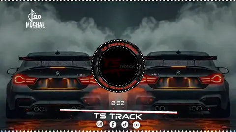 Use headphones 🎧 || Zamil Zamil Fiha  Arabic Remix 🔥🎶 #bassbosted #aveeplayer #useheadphones🎧 #tranding #tstrack         @TikTok 