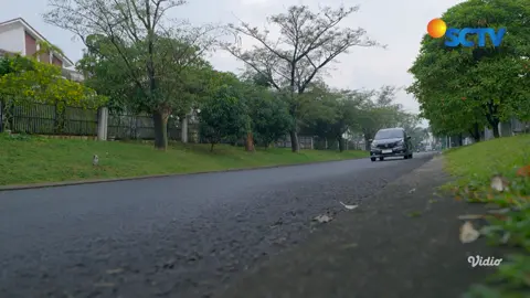 Bantu Papa Michael Pulang, Mama Mayang Bangga Sama Aqeela! | Asmara Gen Z - Episode 376 #SCTVKreatif #AsmaraGenZSCTV #SCTVSinetron 