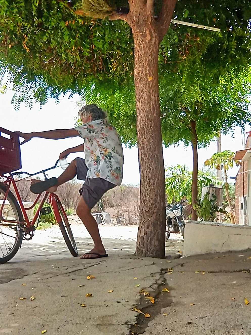 #fyp #bêbado #cachaca #vaiprofycaramba 