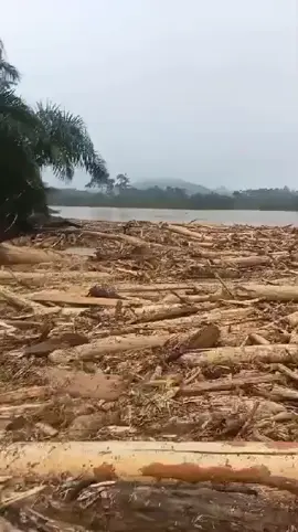 Ya allah selamatkan lah keluargaku dimana pun mereka berada  Pak mohon bantuan nya untuk masyarakat Aceh tamiang,daerah sekumur pak,kampung mereka rata semua tak terlihat,hanya terlihat ujung masjid pak😭😭😭😭 #acehtamiangberduka  #bantuansosial #fyppppppppppppppppppppppp #banjirbandang @Gerindra Official @PRABOWOO SUBIANTO 