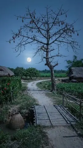 #binhyen #langque #xuhướng 