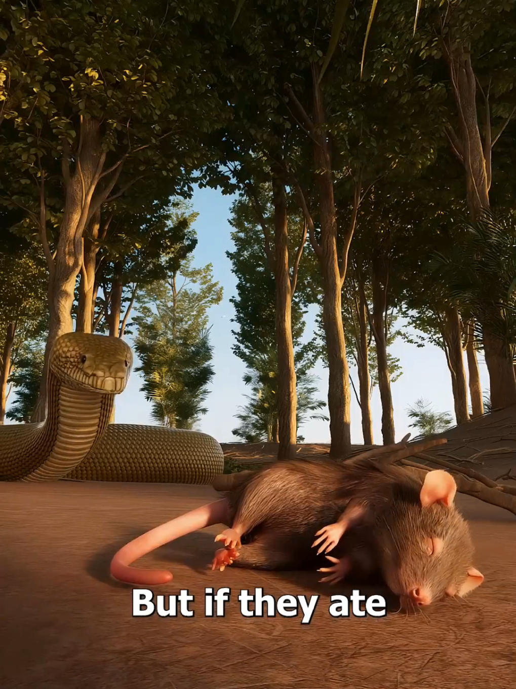 Why Mice With Parachute Were Dropped 🐁😯 #fyp #viral #foruyou #zackdfilms #for 