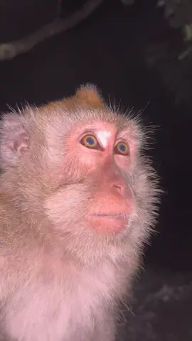 Ter ingat masa lalu nyet#fyp #fypシ゚ 