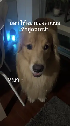 ไหน ไม่เห็นมีเลย