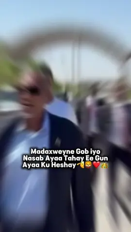 geesi qaran🫡🦁👑#somalilandtiktok💚🤍❤ #viral_video #viewsproblem😭 #isaaqland #editor 