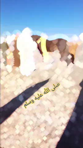 @Tahari عاشق الخيل Amar 