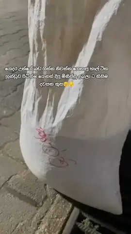 ගෙදර උන්ගේ බඩ ගින්න නිවන්න ගෙනාපු හාල් ටික හුන්ඩුව පිටින්ම ගෙනත් දිපු මිනිස්සු උබලා ට කිසිම දවසක කුස🥹🥹🥹