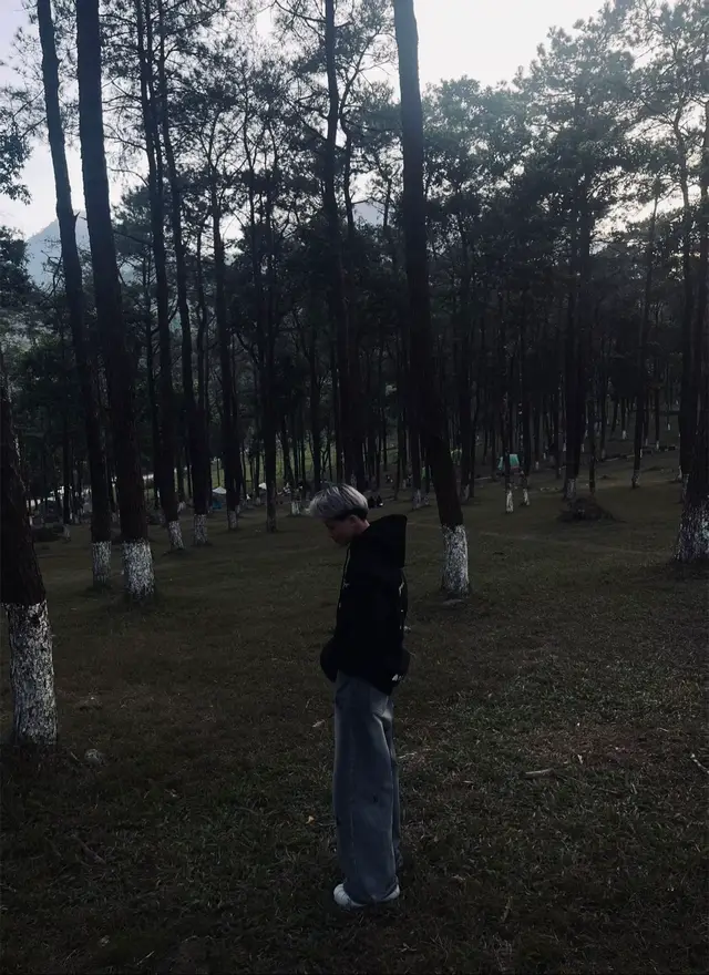 hai ta chua tung hieu nhau