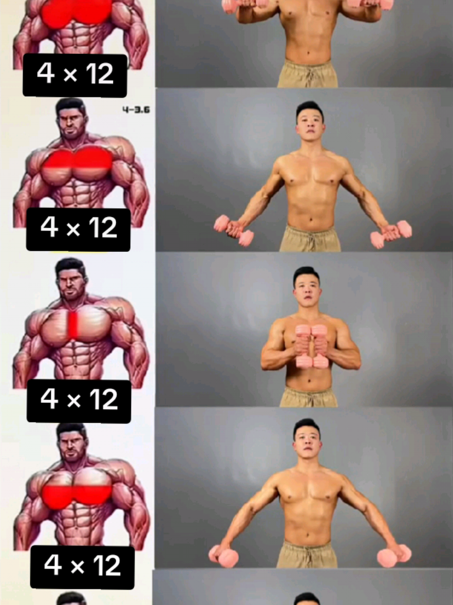 💯💪A Complete Guide to Chest Exercises #Fitness #gymmotivation #dumbbell #triceps #muscle 